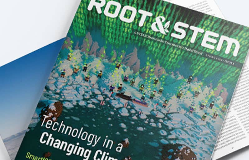 Root-and-Stem-Issue-1-e1607526697804