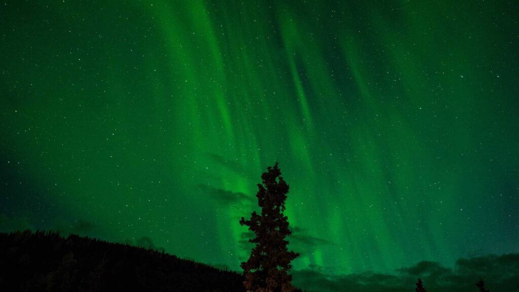 Northern lights.