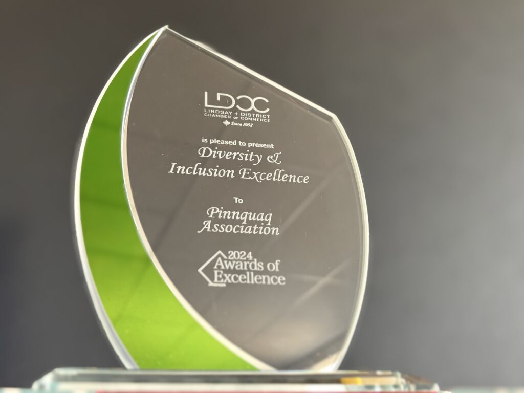 LDCC DI Award